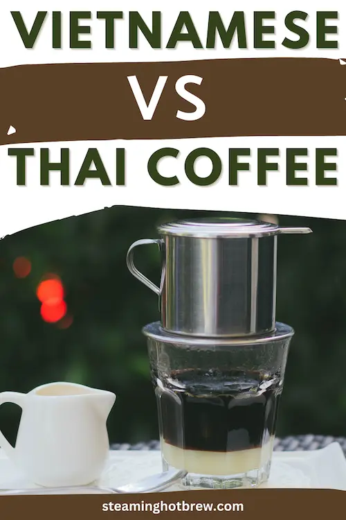 Vietnamese and Thai Iced Coffee