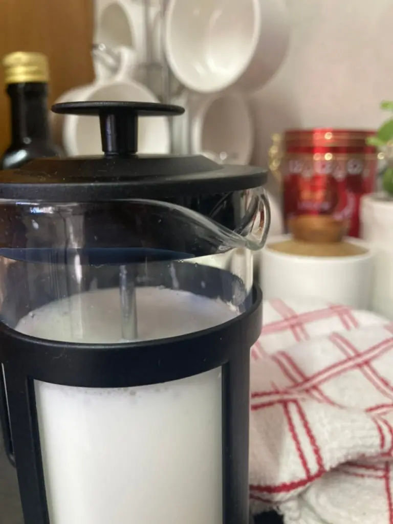 Frothed milk in French press.